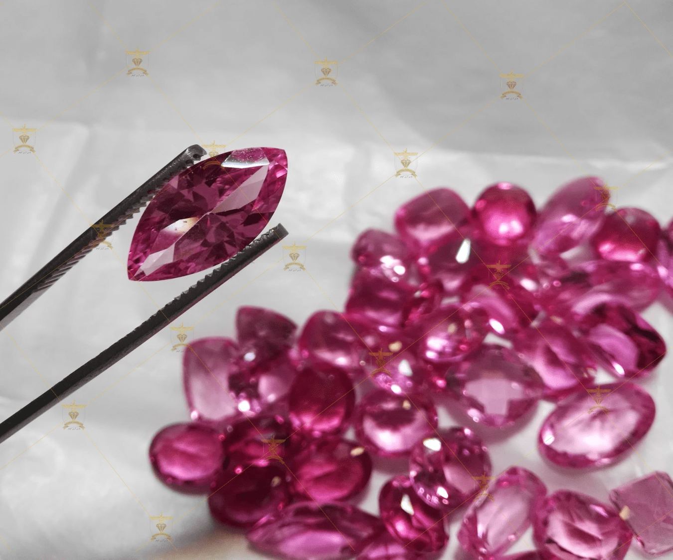 گوهر پارس آرین promo