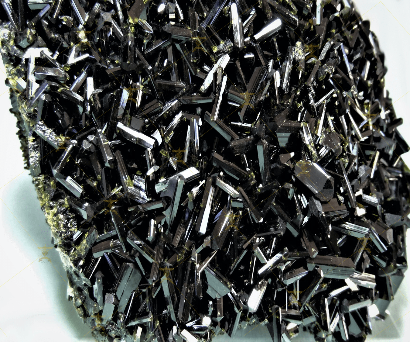 گوهر پارس آرین promo