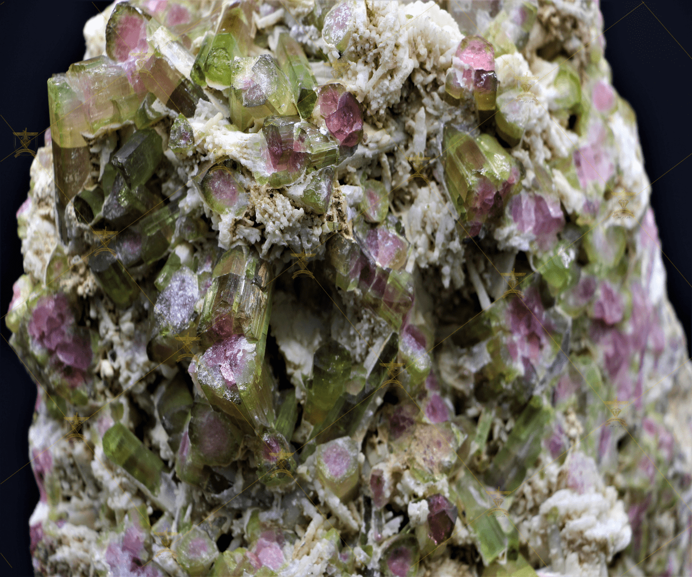 گوهر پارس آرین promo