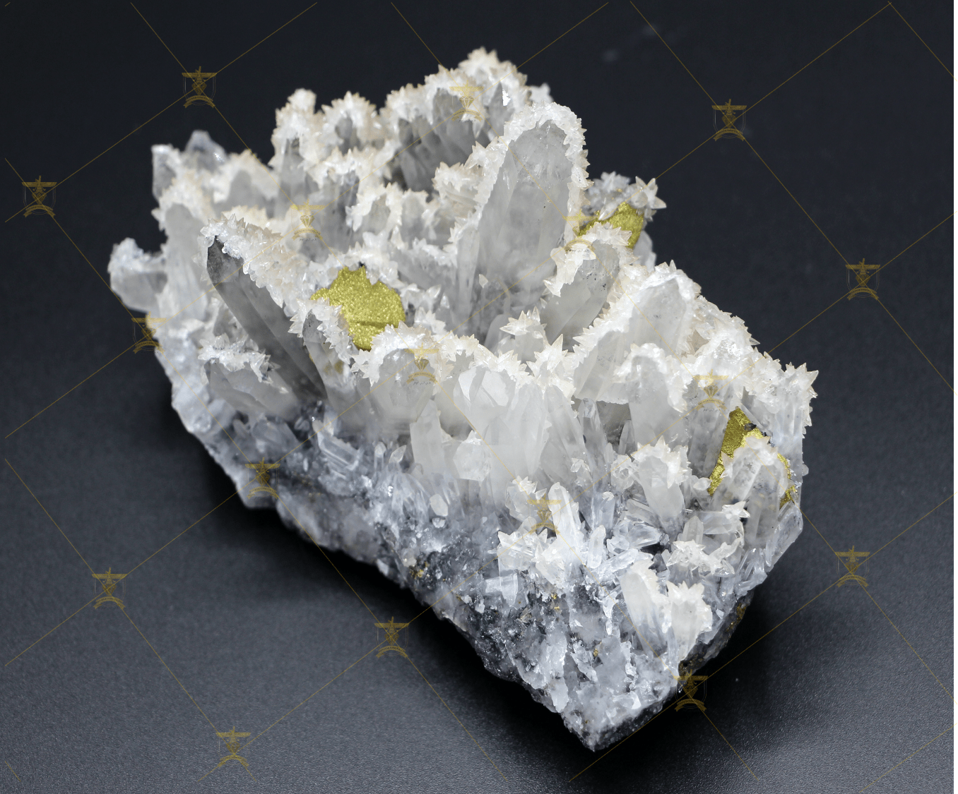 گوهر پارس آرین promo