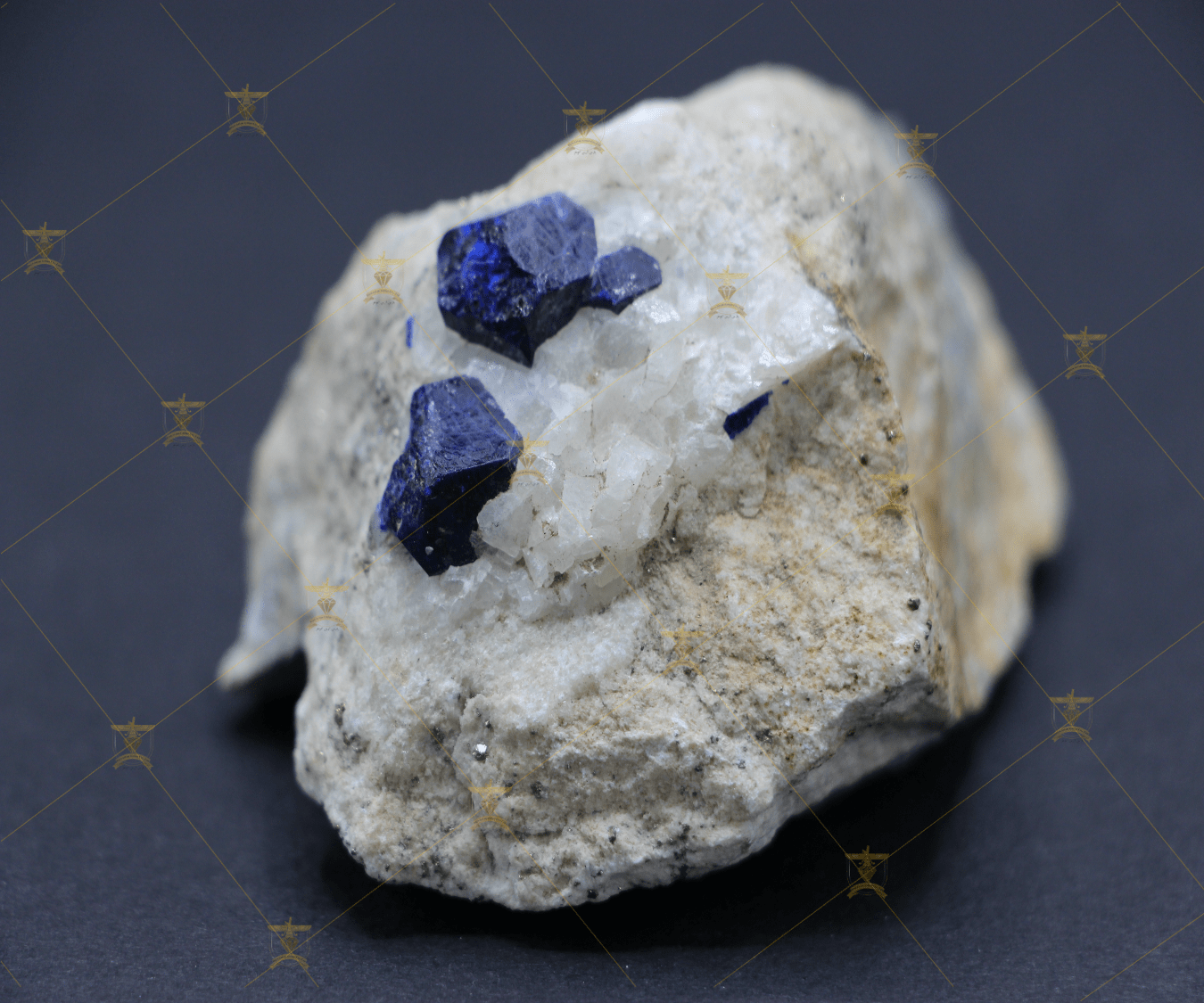 گوهر پارس آرین promo